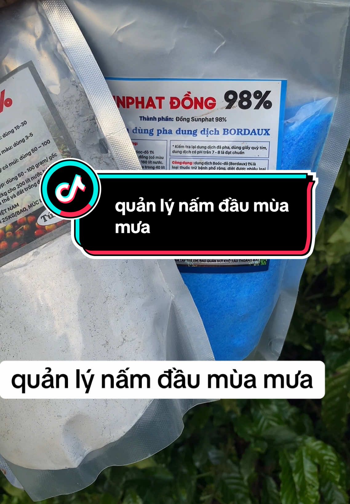 phòng nấm gì chưa người đẹp#xuhuong #nongnghiep #nongsan #nôngdân #càphe #lamvuon 