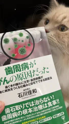 30.40代と増えていく歯周病🦷歯、歯茎からがんの原因へ😳 ずっと健康でいる為には歯周病予防ももちろん！健康！身体に良くないものはなるべく避けていきたいね！！ PR #歯周病 #歯周病予防 #歯周病治療 #ユサブル#PR 