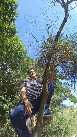 #paratiiiiiiiiiiiiiiiiiiiiiiiiiiiiiii #remedioscaseros #tik_tok #tiktokvirall #viraltqr #paratiiiiiiiiiiiiiiiiiiiiiiiiiiiiiii #remedioscaseros 
