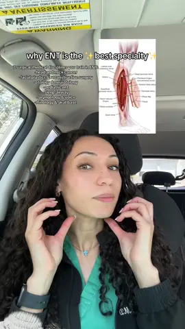 bet you didn’t know ENT surgeons do all this 👀 #medtok #medjourney #m4 #medstudent #residency #surgery #ENT #medschooladvice 