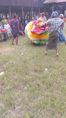 #သိုးအသစ်ကလေးအလှုမှာသွားကဲ