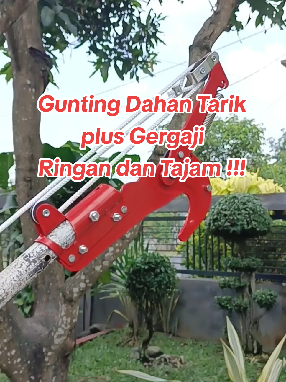 Gunting Dahan Tarik plus Gergaji, tanpa tongkat. #guntingtarik #guntingdahan #guntingdahantarik 