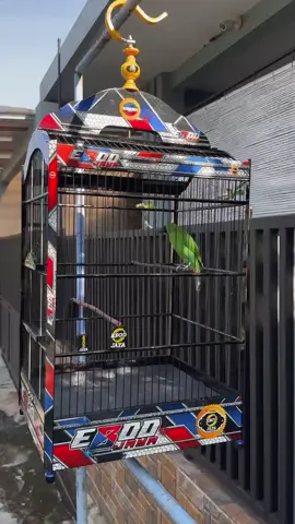 cuaca cerah jemur tipis tipiss🤭🤏🏻 #cucakijo #cucakijomania #cucakijoindonesia #cucakijoprestasi #cucakhijauindonesia #cucakijobanyuwangi #cucakhijau #kicaumania #kicaumaniaindonesia #kicaumanianusantara #kicauburung #kicaumania_indonesia #kicaumaniajatim #kicaumaniajateng #bksda #josjumbo #fairyproject #fairypurwokerto #purwokerto #banyumas #jawatimur #jawatengah #fyp #fypage #fyppppppppppppppppppppppp #pagi #berandatiktok #beranda #berandatiktok #capcut #capcut_edit #fypdonggggggg 