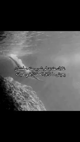 #fyp #foryou #explore 