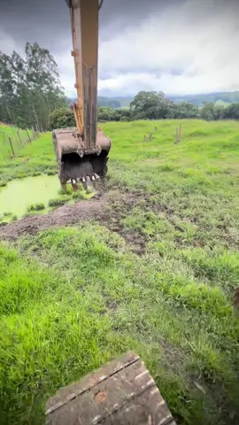 O boi querendo brincar com a máquina 😂