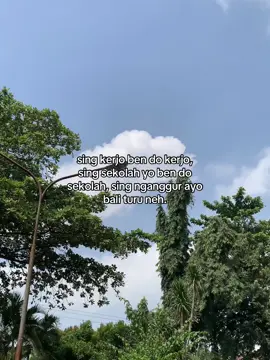 Ayo turu