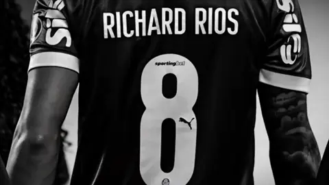 boa noite 💚🤍 #fyp #fy #richardrios #palmeiras 