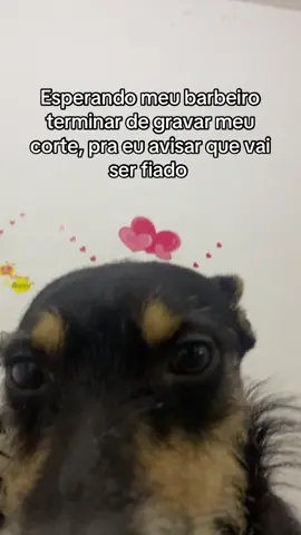 Só dia 5 👀 #fypp #cabeleireiro 