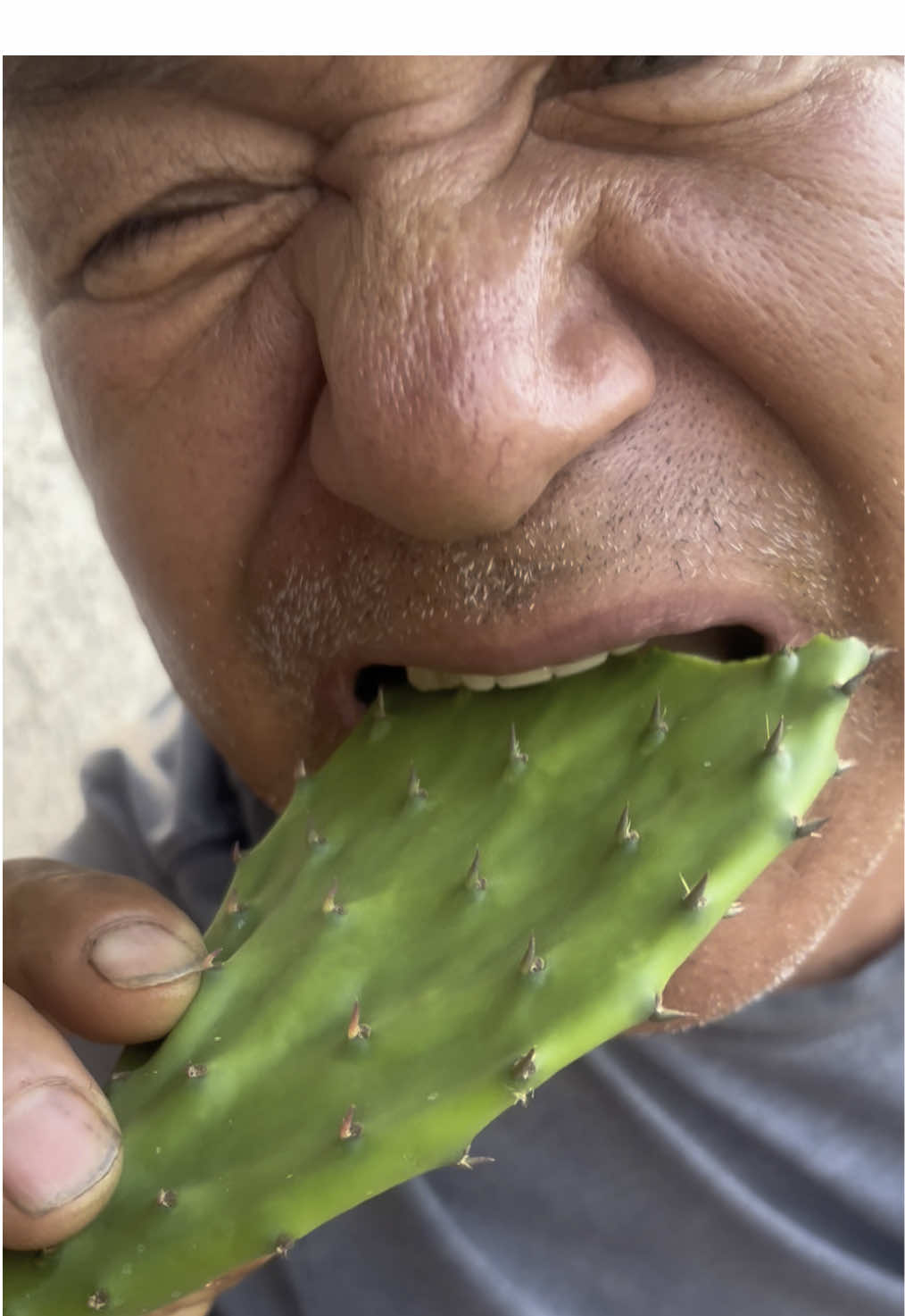 🌵 #michoacan #eatingcactus #nopales #az #espina #fyp 