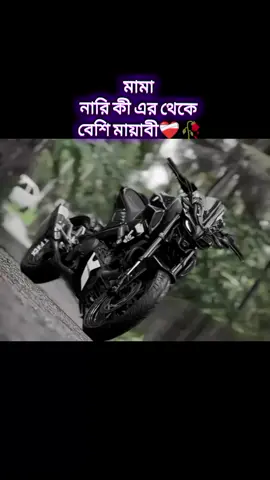#bike_lavar07 