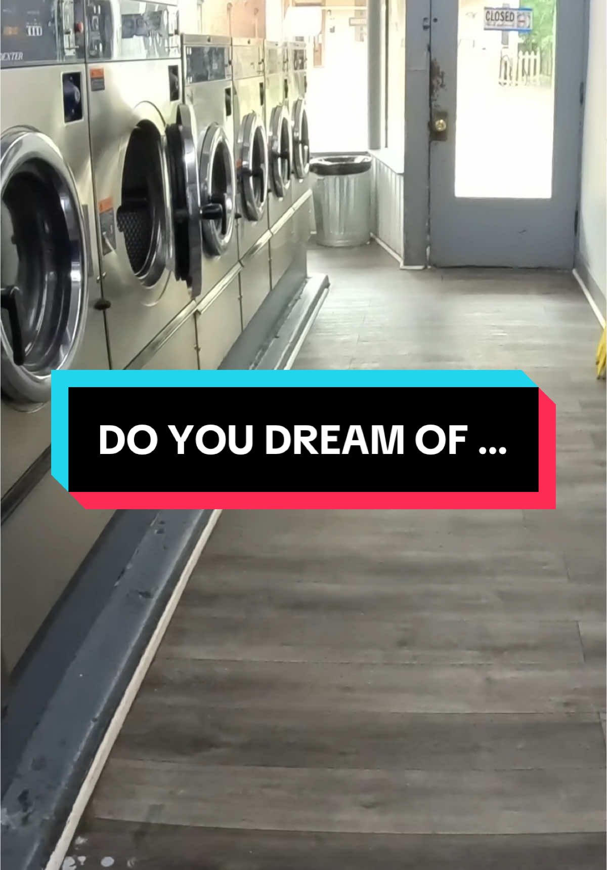 Have You Ever Dreamed of Being The Boss? #money #laundromat #boss #9to5 #fyp