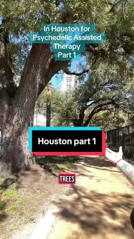 Hey days in #Houston #fyp 