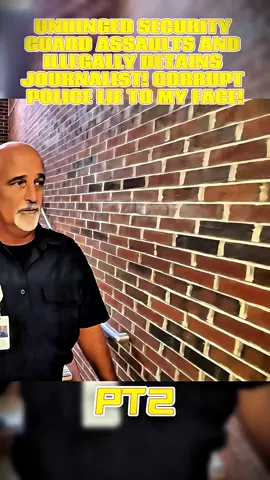 #cops #audit #auditing #policeofficer #copsoftiktok 