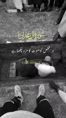 #qurantranslationurdu #quranvideo #quranrecitation 