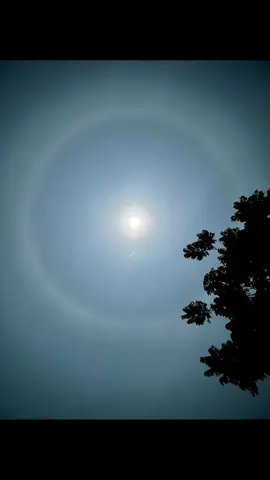 #ဆယ်လီမှအသဲပေးတာလား😔😑 #မင်းတို့ပေးမှ❤ရမဲ့သူပါကွာ #အသဲလေးတော့ပေးသွားနော်😍❤️❤️❤️ #ဒီတပုဒ်တော့fpyရောက်ချင်တယ် 