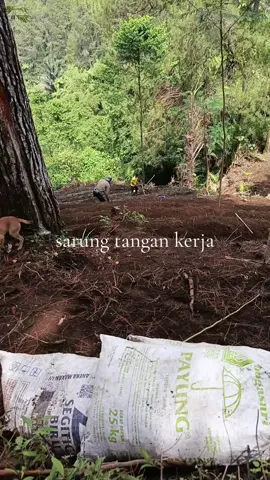 #sarungtangan sarung tangan kerja