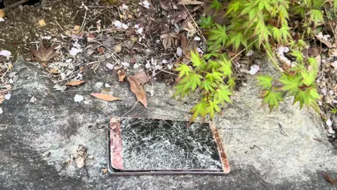 #asmr #phone #rage #trash #destroy 
