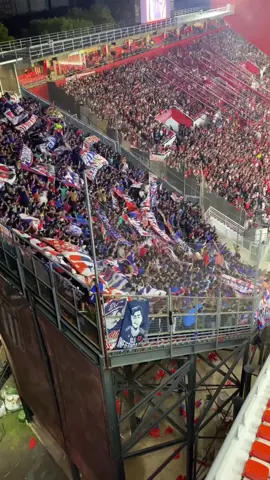 🤘♥️💙 #universidaddechile #chunchos #lda #bullademivida #bullangueros #bullanguero #udechileoficial #udechile🔵🔴 #udechile❤💙 