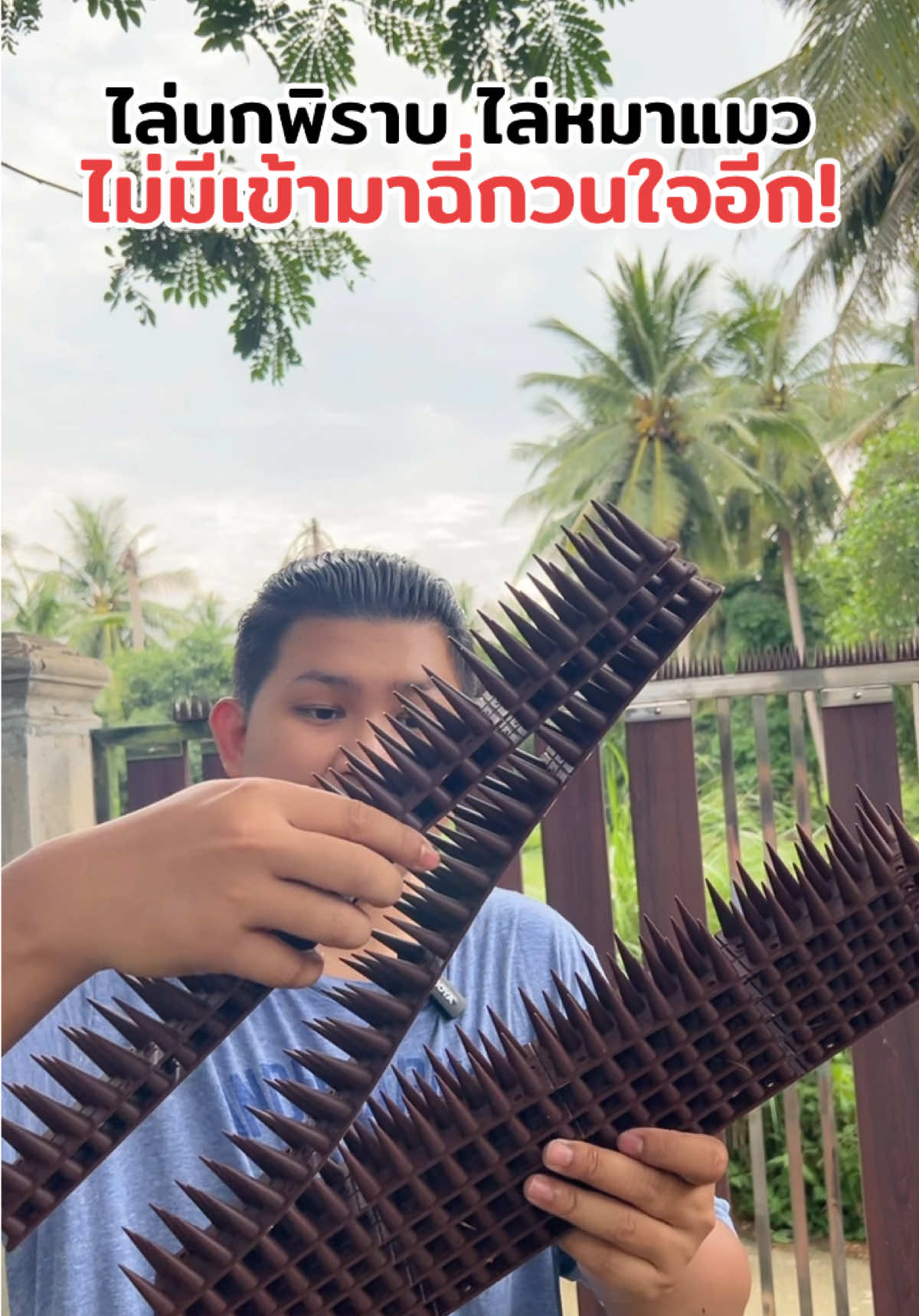 ไม่มีหมาแมวเข้ามาอีกเลย แนะนำเอาไปลองใช้ดูครับ กันนกเกาะ แมวปีนรั้ว! #หนามไล่นก #หนามกันนก #หนามกันนกพิราบ #หนามไล่แมว #หนามไล่นกพิราบหนามกันนก #หนามไล่นก #หนามกันนกเกาะ 