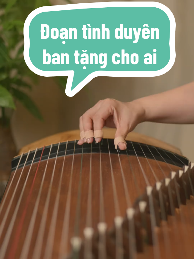 Đoạn tình duyên ban tặng cho ai guzheng #yennhienguzheng #guzhengcover #guzheng #cotranh #nhacbuontamtrang #xuhuong #trending 