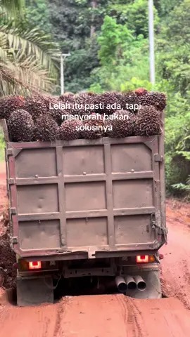 Jangan pernah menyerah🔥#storytruckkalimantan #drivermuda #fyp 
