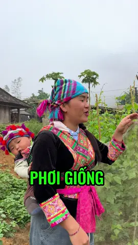 Hai mẹ con phơi giống rau cải làn và cải mèo 