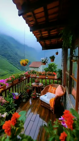 Good vibes 🌻 🌸 🌺 🌿 #nature #natureza #spring #blossom #flowers #relaxing #garden #house #homedecor #lovely #cosy #balcony #birds #butterfly #happy #life #mood #feelings #video #videoviral #tiktokviral #viral_video #edit #explore #fypp #fpy #fypage #fypage #fyppppppppppppppppppppppp 