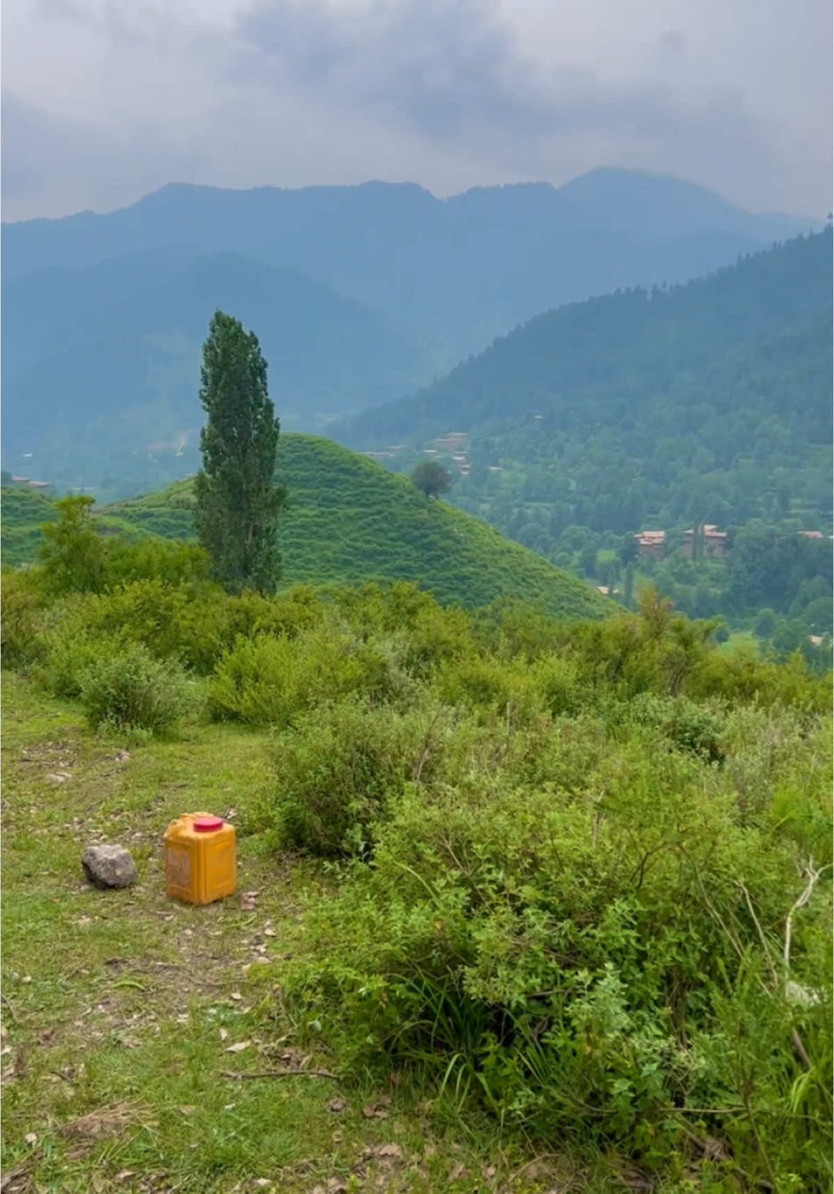 Tirah valley Maidan 🥹 🌸                   #tirahvalley #explore #foryoupage #typ #watan #viralvideos #shahab_afridi313 #shahab_afridi313 