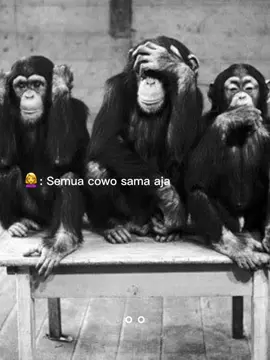 Kmha brdk @🅰️tipp @Erik 