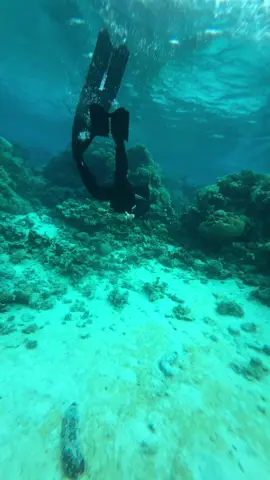 #غطس_حر #غوص_حر #الصيف_والبحر #حقل #الان #العيد #fyp 