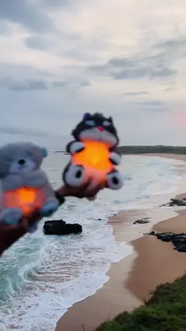 Breathing angrycat Available Now #liyaracraft #viral #trending #plushdoll #softtoys #chinaimport #viralvideo #trendingvideo #breathingteddy 