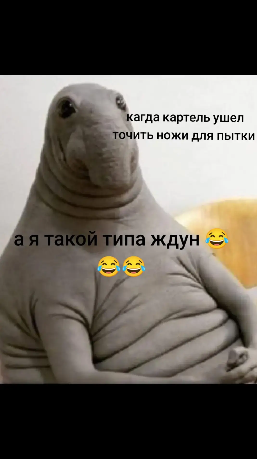 #картель #ждун #