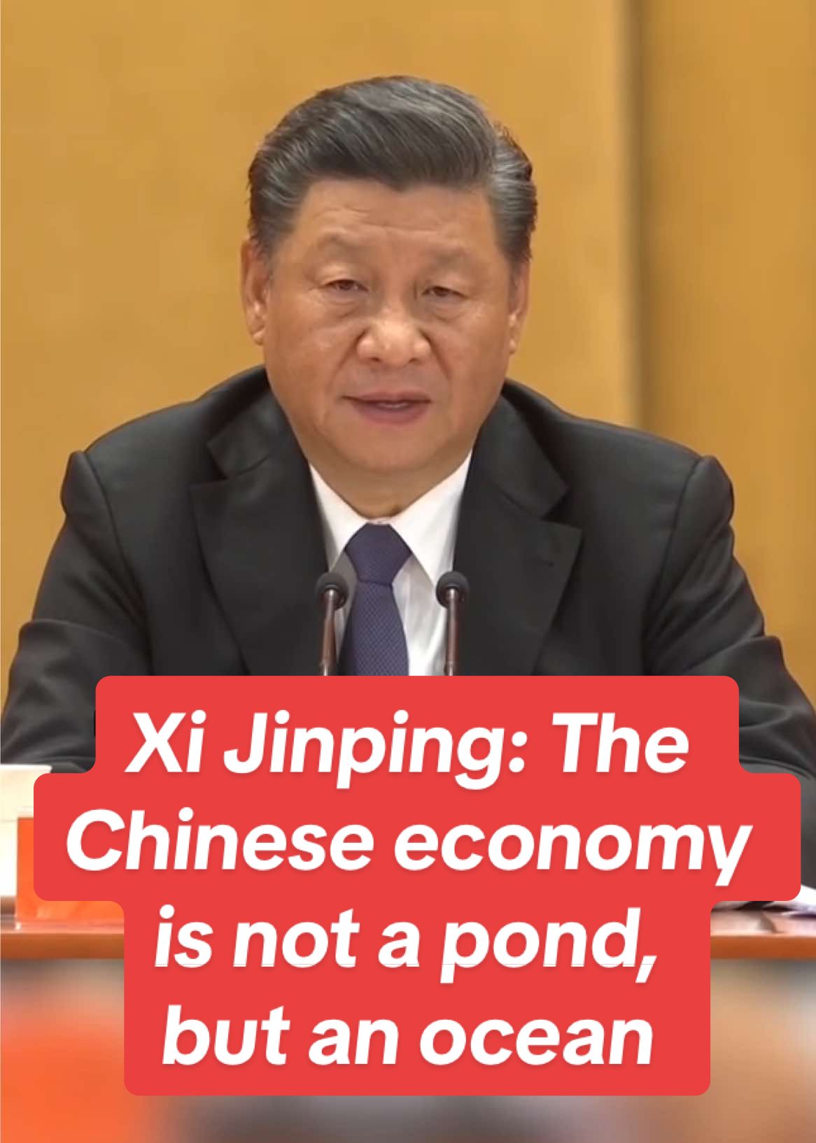 #Chinese President Xi Jinping once used #ocean as a metaphor to illustrate the size and resilience of the Chinese #economy. Challenges cannot change the long-term positive fundamentals of the Chinese economy. 