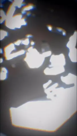 #CapCut 