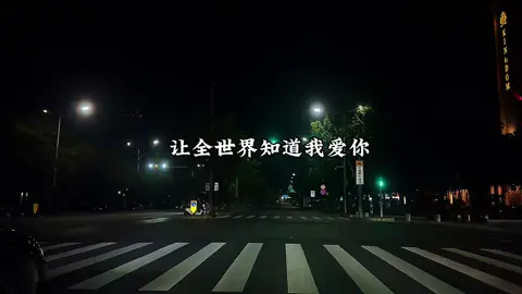 我曾经想让全世界知道我爱你,最后我们没能在 一起#音乐分享 #车载音乐u盘 #车载音乐 #中文dj #vairal #guangshimusis #xuhuong #foryou 