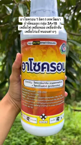 #อาโซครอน #กําจัดเพลี้ย 