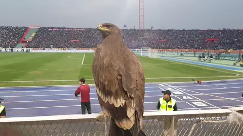 تحفة جمهور القوة الجوية ا فيديو#القوه_الجويه_قصه_عشق_لاتنتهي💙🦅 #القوه_الجويه_قصه_عشق_لاتنتهي💙🦅  #الشرطه #حسن #الصقور🦅🦅💙💙💙 #الجويه #الشرطه #القوه_الجويه_قصه_عشق_لاتنتهي💙🦅 #الجويه_عشق_لا_ينتmancity💙 #القوه_الجويه_قصه_عشق_لاتنتهي💙🦅 #الشرطه #اديان #حسن#نادي_الشرطه_العراقي👽💚 #نادي_القوة_الجوية #نادي_الزوراء #دوري_نجوم_العراق #مباراة #مهند_علي #محمود_المواس #نادي_القاسم_الرياضي #نادي_الميناء #ملعب_الزوراء #نادي_الميناء#الزوراء #الزوراء_قصه_عشق_لاتنتهي #زورائي #الزوراء_قصه_عشق_لاتنتهي🤍🕊️ #عشاق #الكسبلور #نادي_الشرطه_العراقي👽💚 #اسود_الرافدين #منتخب_العراق #نادي_الزوراء #كاساس_مدرب_المنتخب_العراقي #سعدون_الساعدي_عليي_عليي💃😂 #سعب_الصيني_ماله_حل😂😂 #السعب_الصيني_ماله_حلالسنة بس الله يوكفنة 😅😅😂💔⁉️ #لآيك #أكسبلور #كومنت💭🍃 #مشاهدات #فولورز #شعر #لايك_تعليقاتكم_تسعدنا_كثرو_منها😍😍😍🌹🌹🌹💕💕 #العراق_السعودية_قطر_الامارات_الكويت_البحرين_اليمن_الخليج_سوريا_مصر_لبن #اكسبلور_فولو #متابعه #يصعد #كومنت💭🍃 #العراق #كويت #بصره_بغداد_اربيل_جاري_الفولو_مي_اكسبلور #بغداد #الحله #الحله_الموصل_كربلاء_سامراء_الرمادي_دهوك_كركوك_الاعظميه_زيونة_الكرادة_ا #دهوك #هاجر_احمد #علي_البديري_عراقي