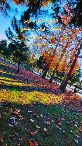 #صباح_الخير#تصويري📸  #العراق#بغداد#اربيل#دهوك#سليمانيه