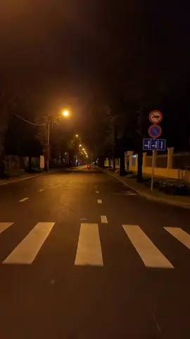 SaiGon! Đường Nguyễn Du. Đường Nguyễn Du Sài Gòn về khuya mang một vẻ đẹp trầm lắng và thơ mộng. Khi phố xá dần chìm vào yên tĩnh, ánh đèn vàng trải dài trên mặt đường len lõi giữa những hàng cây lặng yên đổ bóng xuống vỉa hè. Nguyễn Du về khuya bình yên đến lạ cho những tâm hồn cần chút lặng để thả mình theo nhịp thở nhẹ nhàng của Sài Gòn về đêm.