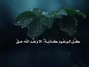 كُـْل الـوَعُـودِ كَـاذِبـةِ ، الا وَعّـدِ الله حـقً🎧💙 . . . #تصميم_فيديوهات🎶🎤🎬  #اللهم_صلي_على_نبينا_محمد  #fypシ゚viral🖤tiktok  #fyp  #fypシ  #جنو_ميدو💗✨💤  #مـ؏ـشوڪتي_الأحـبها🌝♥️🦋  #شعب_الصيني_ماله_حل😂😂 