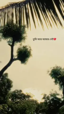 তুমি আর আমার নেই💔#fyp #viral 