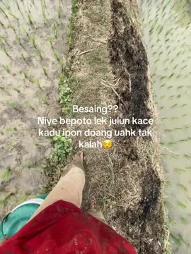 #sasaklombok #ite jek ape lalok tengak bangket doang taokt dait dirikt ndkt tak mempu besaing😂#tiktoklombok #sasaklombokviral🥀 #pypシ #masukberandafyp #tiktoklombok #fypage #fypdong #fyppppppppppppppppppppppp 
