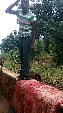 GoodPianoBoyzin nzhelele milaboni Limpopo venda 2025