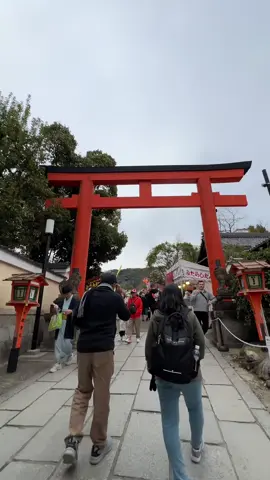 Tara mag picnic  sa sakura tree #picnic  #sakura #maruyama #kyoto  #japan 