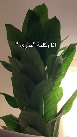 مدري حتى لو كنت ادري 😂🤷🏻‍♀️