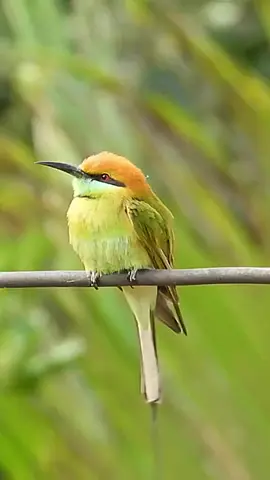 #قرآن_كريم_راحة_نفسية #قرآن_بصوت_جميل#قرآن_كريم #القران #القران_الكريم_راحة_نفسية😍🕋 #قرآن #quran_alkarim #quran #قران #قران_كريم #القرآن