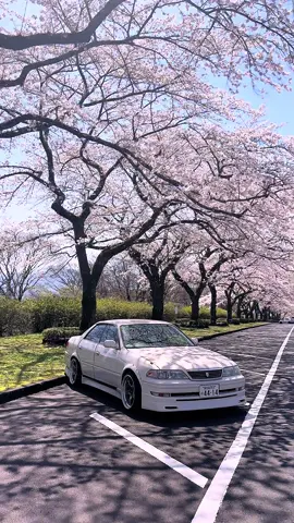 桜綺麗だった🌸 #マークII #100系マーク2 #100系マークii #TOYOTA #トヨタ #90s #おすすめ #桜 #jdm #fyp 