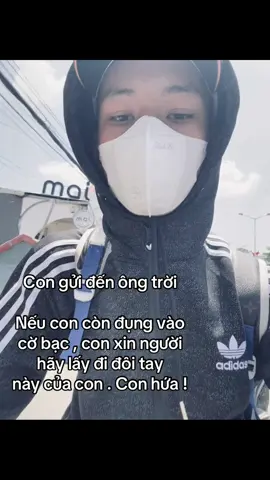 Con xin hứa #xuhuong #xhtiktok 