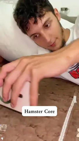 Hamster Core#hamster #hamsters #hamstersoftiktok #hamstercult #core #animals #cuteanimalsfyp#foryou#foryoupage#funnytiktok#funnyanimals#funnytiktok #kitty#funny#TikTokTrending#FeatureMe#NewTrend