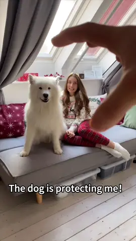 Dogs are the best protectors.#dogsoftiktok #dog #funnydog #Love #baby #usa🇺🇸 